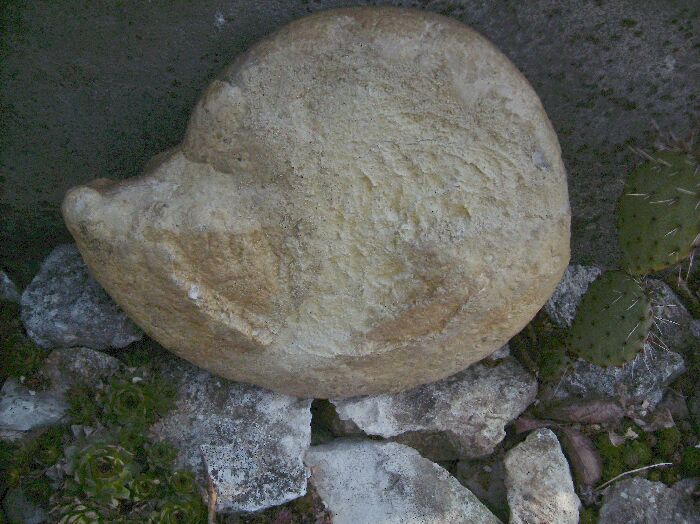 GrossBild
