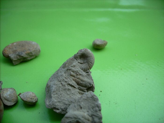 GrossBild